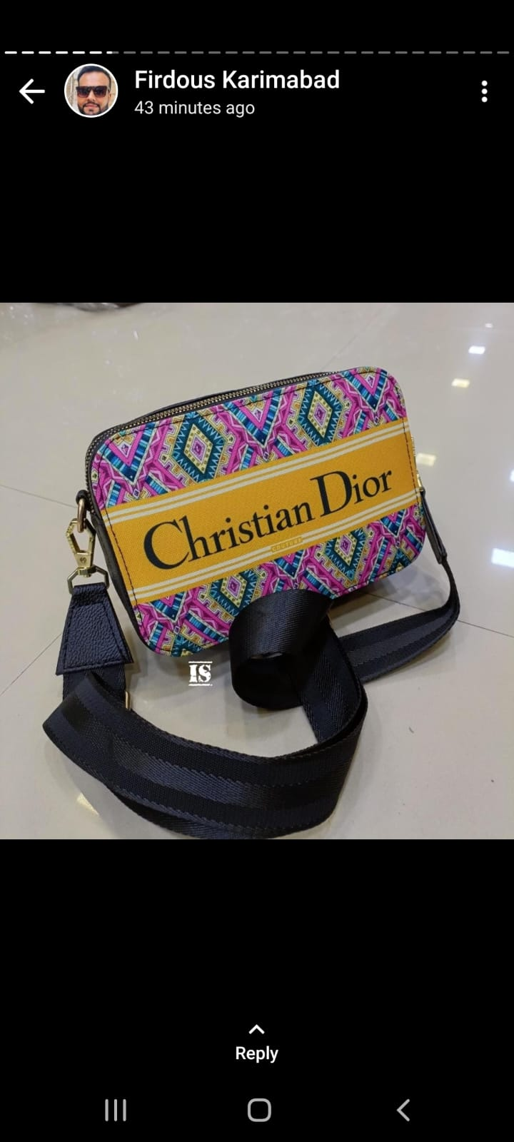 Christian Dior Purse 2