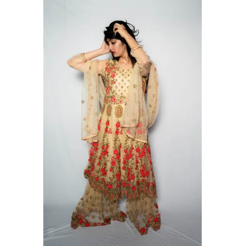 LADIES MOTI WORK GOWNE 2